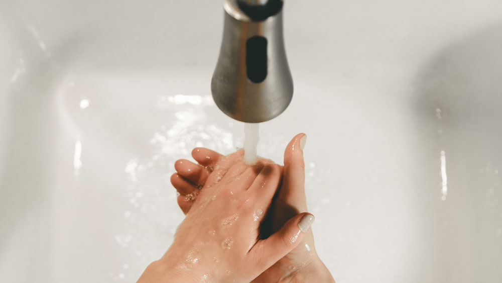 clay-banks-Qpgjbf6emd0-unsplash_11868_2023-08-04_08-36