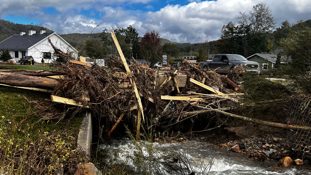 logs by bridge