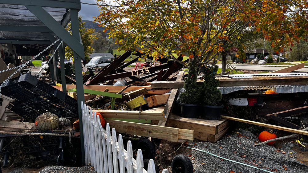 Logs at Garden Center
