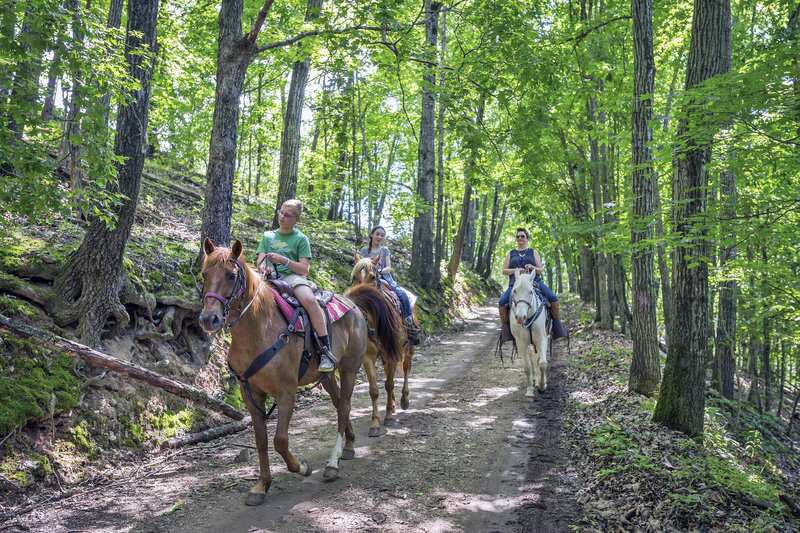 rsz_horse_back_riding